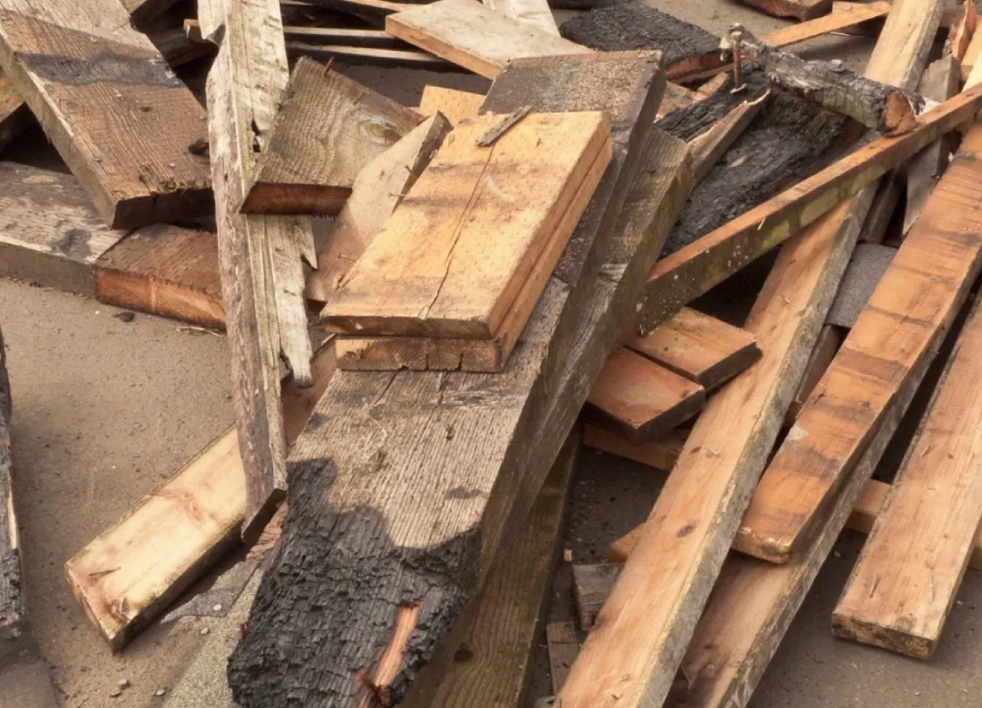 Sorteeritud puidu kogumine